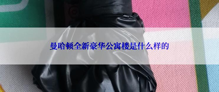 曼哈顿全新豪华公寓楼是什么样的