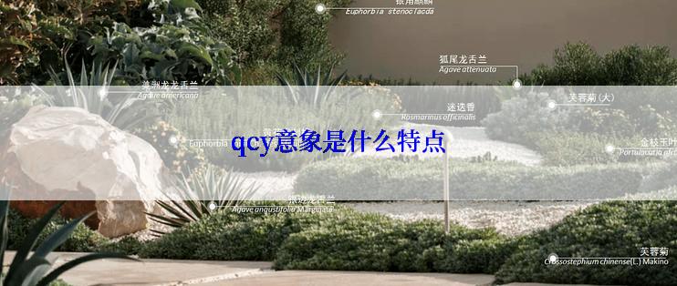 qcy意象是什么特点