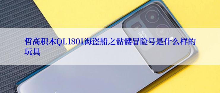 哲高积木QL1801海盗船之骷髅冒险号是什么样的玩具