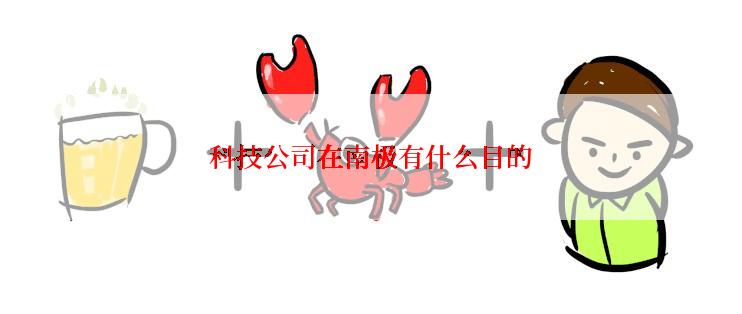 科技公司在南极有什么目的