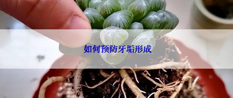  如何预防牙垢形成