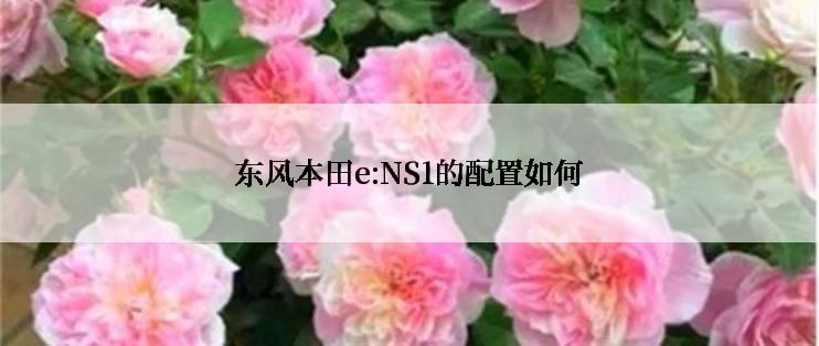 东风本田e:NS1的配置如何