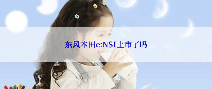 东风本田e:NS1上市了吗