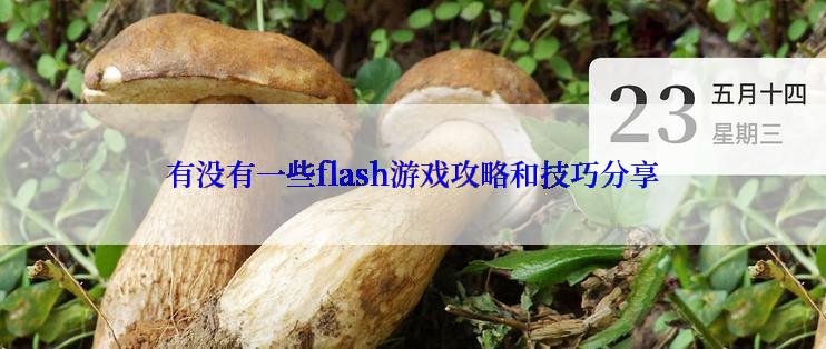 有没有一些flash游戏攻略和技巧分享