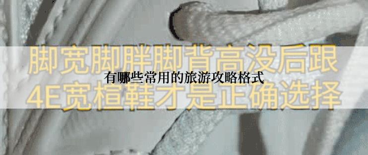 有哪些常用的旅游攻略格式