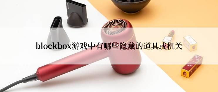 blockbox游戏中有哪些隐藏的道具或机关