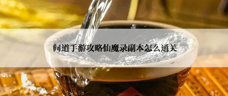  问道手游攻略仙魔录副本怎么通关