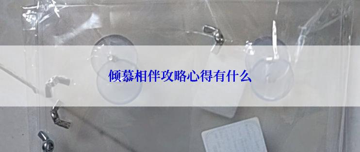 倾慕相伴攻略心得有什么