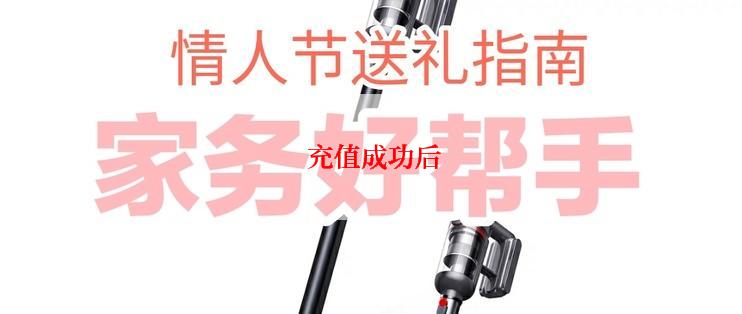  充值成功后