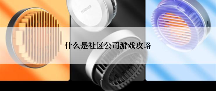 什么是社区公司游戏攻略