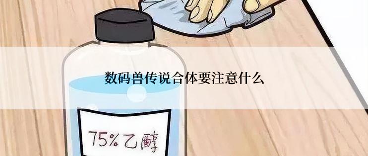 数码兽传说合体要注意什么