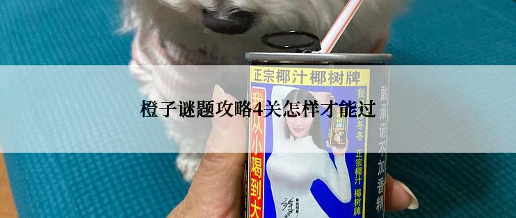 橙子谜题攻略4关怎样才能过