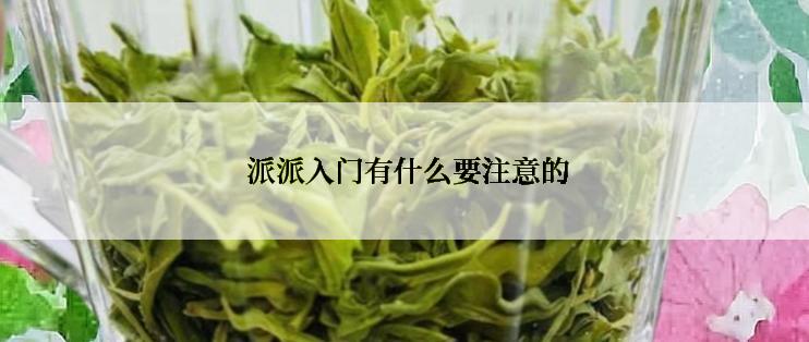  派派入门有什么要注意的