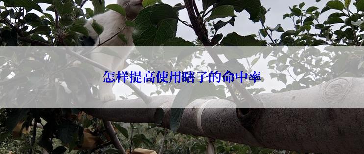 怎样提高使用瞎子的命中率