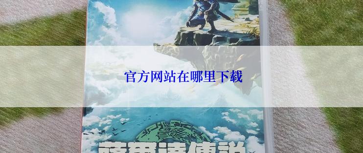  官方网站在哪里下载