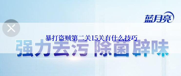  暴打盗贼第二关15关有什么技巧