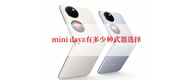  mini dayz有多少种武器选择