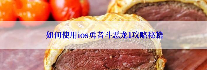  如何使用ios勇者斗恶龙1攻略秘籍