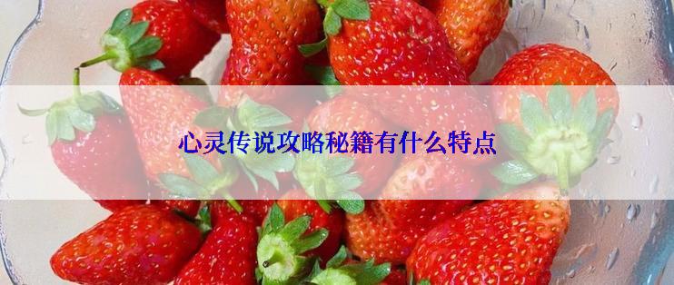 心灵传说攻略秘籍有什么特点