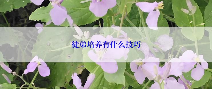 徒弟培养有什么技巧