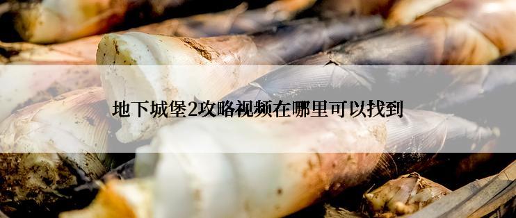 地下城堡2攻略视频在哪里可以找到