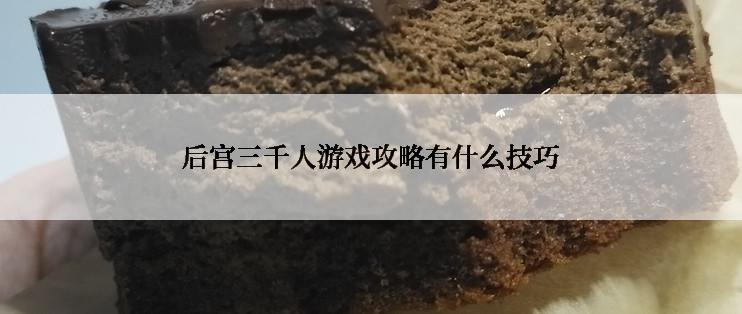 后宫三千人游戏攻略有什么技巧