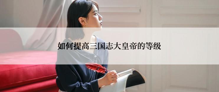 如何提高三国志大皇帝的等级