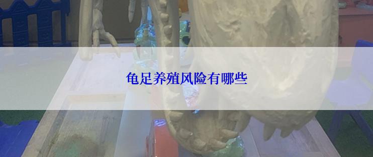 龟足养殖风险有哪些