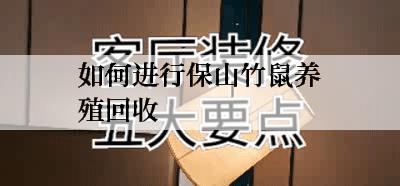 如何进行保山竹鼠养殖回收