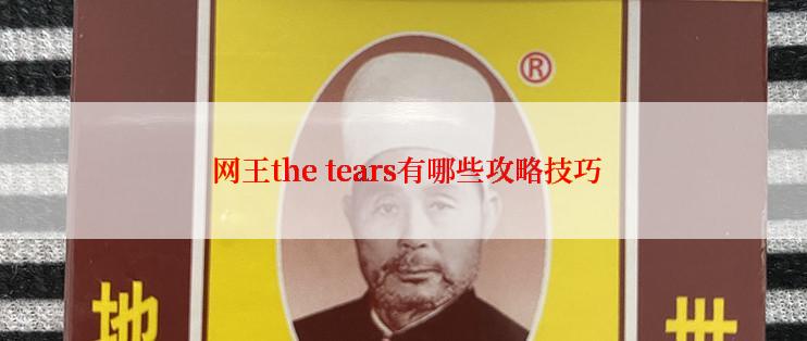  网王the tears有哪些攻略技巧