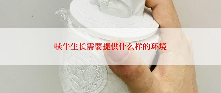 犊牛生长需要提供什么样的环境