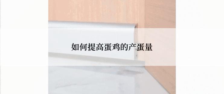 如何提高蛋鸡的产蛋量