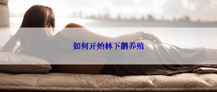 如何开始林下鹅养殖