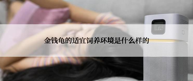 金钱龟的适宜饲养环境是什么样的