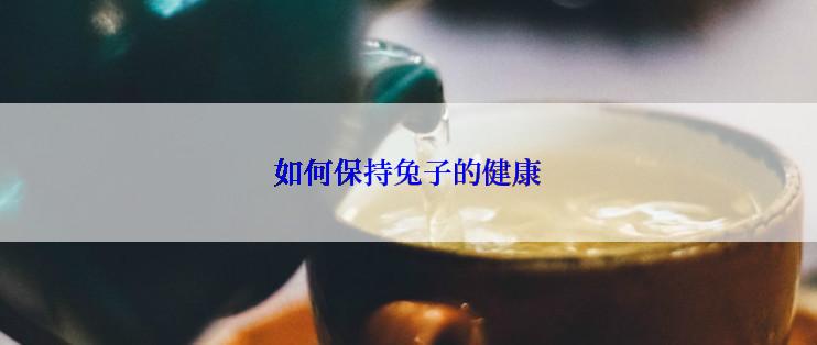 如何保持兔子的健康