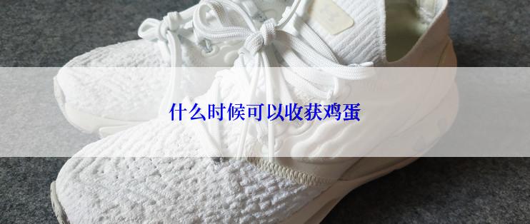 什么时候可以收获鸡蛋