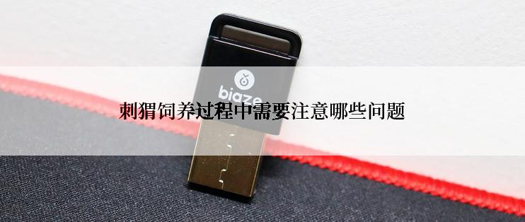 刺猬饲养过程中需要注意哪些问题