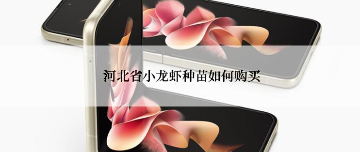  河北省小龙虾种苗如何购买