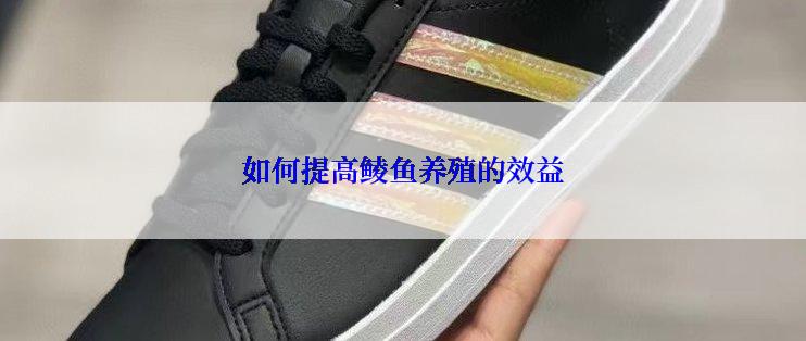 如何提高鲮鱼养殖的效益