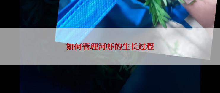 如何管理河虾的生长过程