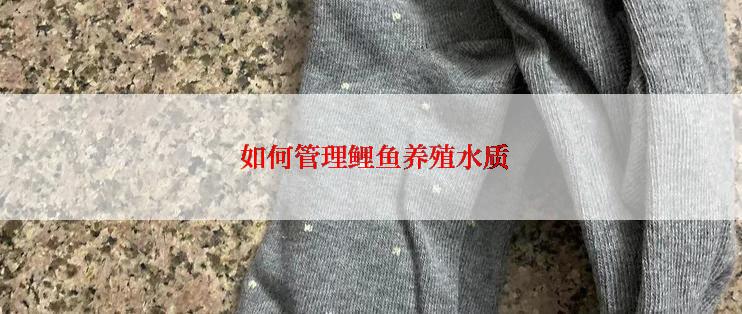  如何管理鲤鱼养殖水质