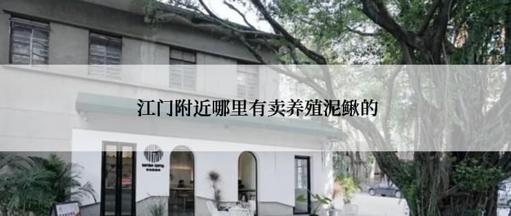  江门附近哪里有卖养殖泥鳅的