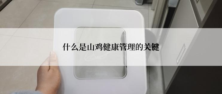 什么是山鸡健康管理的关键