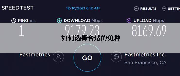  如何选择合适的兔种