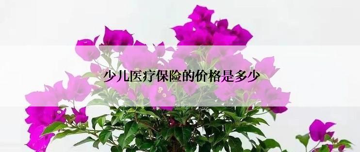  少儿医疗保险的价格是多少