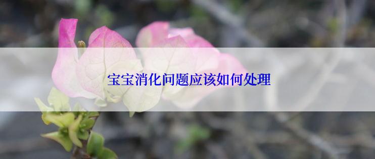  宝宝消化问题应该如何处理