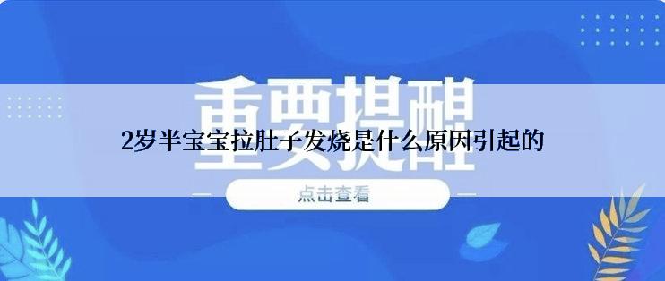 2岁半宝宝拉肚子发烧是什么原因引起的