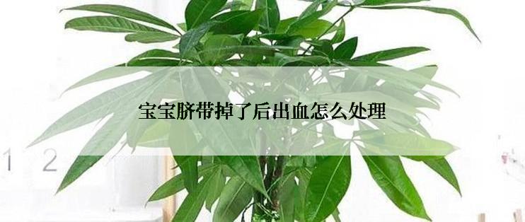 宝宝脐带掉了后出血怎么处理