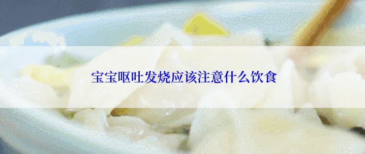  宝宝呕吐发烧应该注意什么饮食