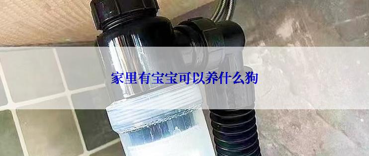 家里有宝宝可以养什么狗